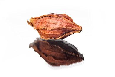 B社：《星空》中每个星球都有独特的群落